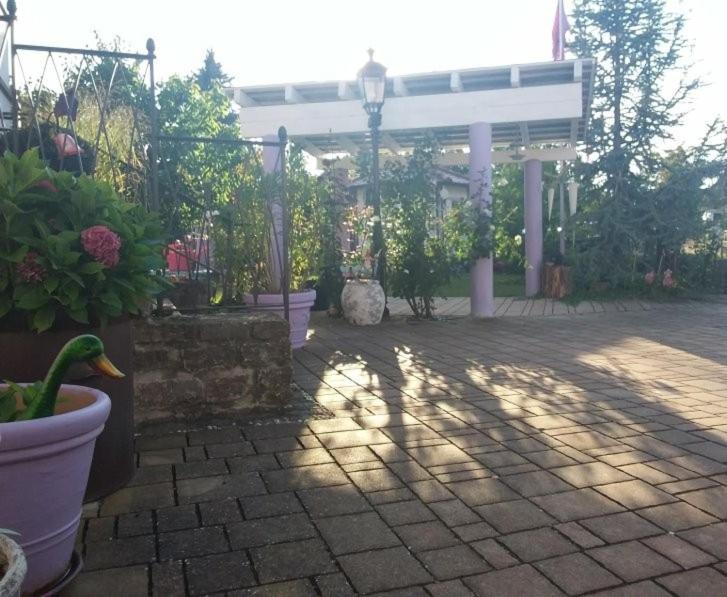 Villa Lila Sommerach Exterior photo